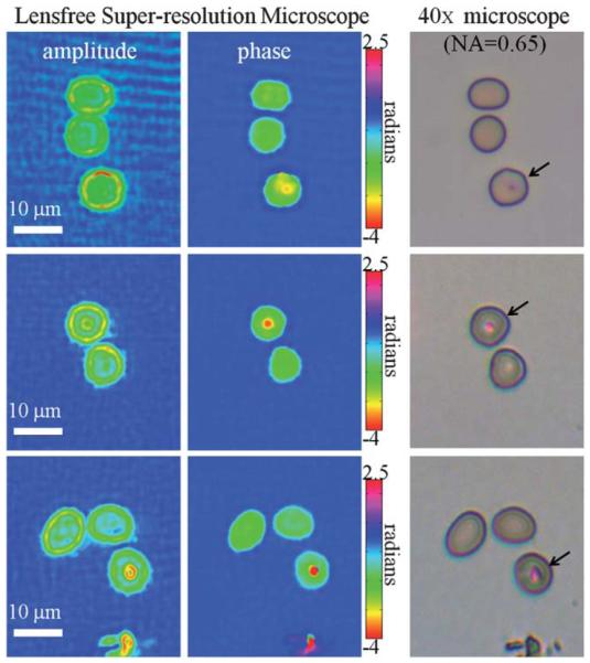 Fig. 4