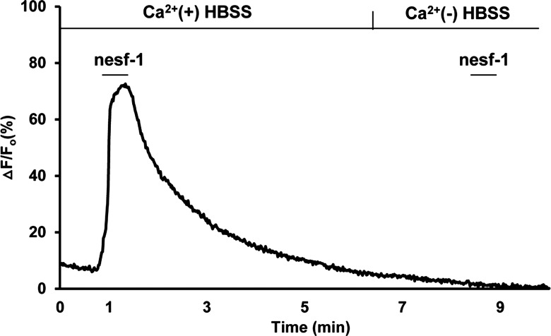 Fig. 5.