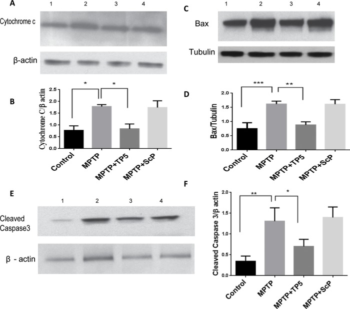 FIGURE 7: