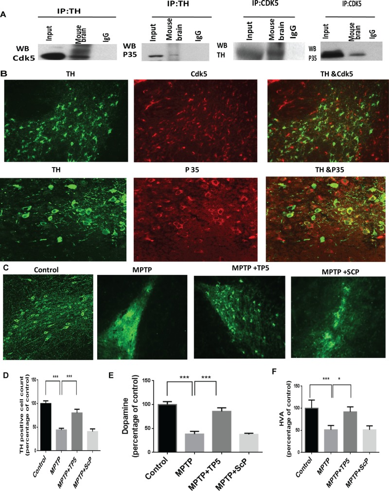 FIGURE 4: