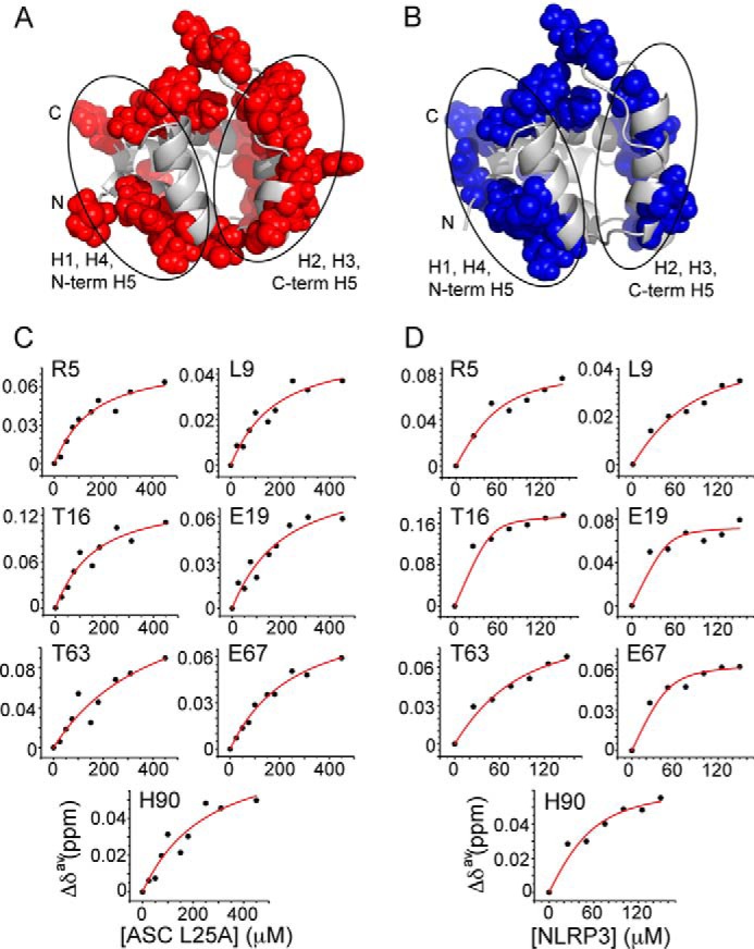 FIGURE 9.