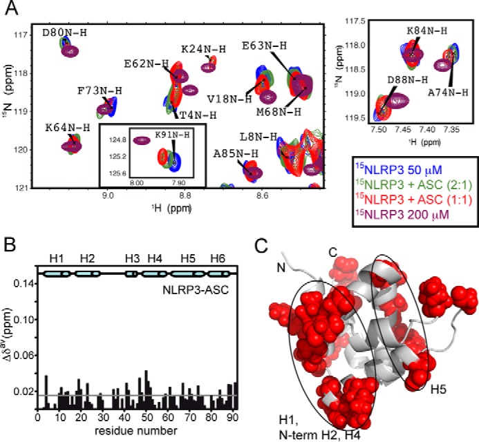 FIGURE 11.