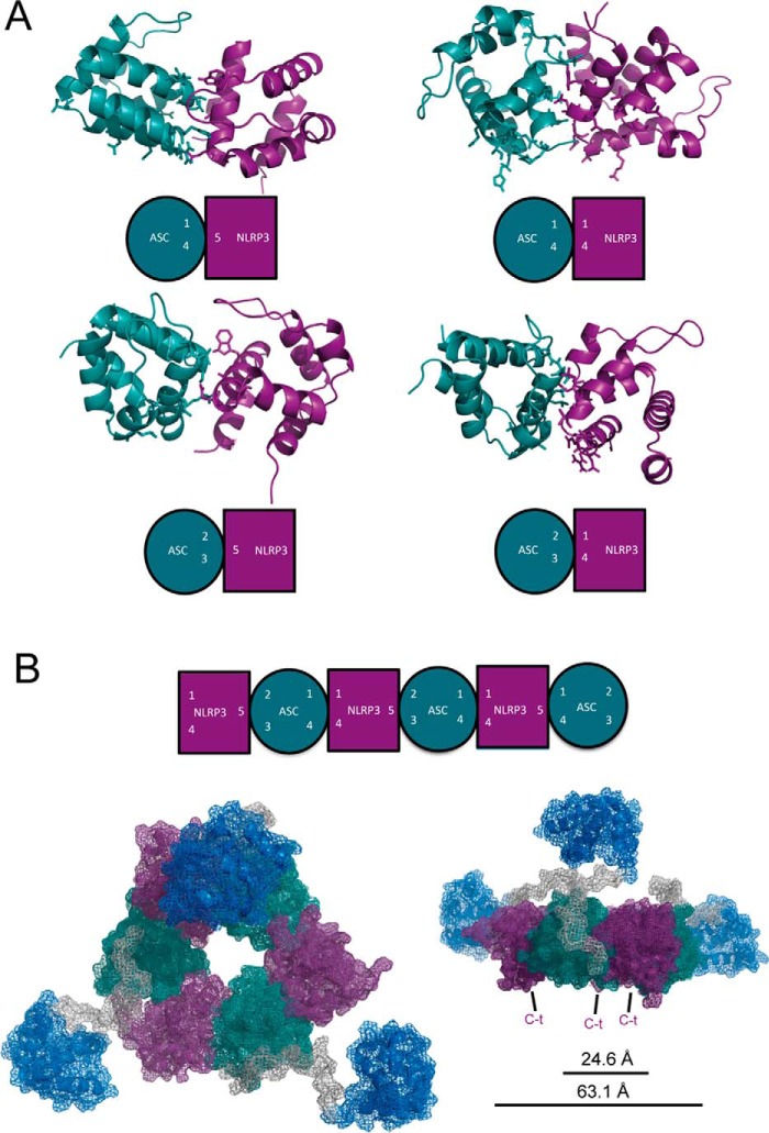 FIGURE 15.