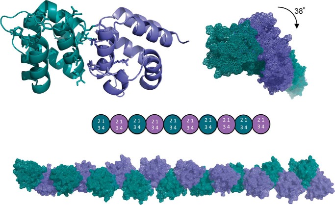 FIGURE 13.