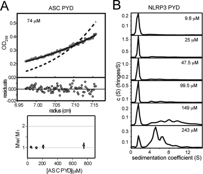 FIGURE 3.