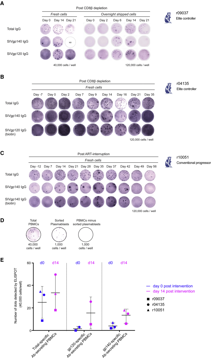 Figure 2