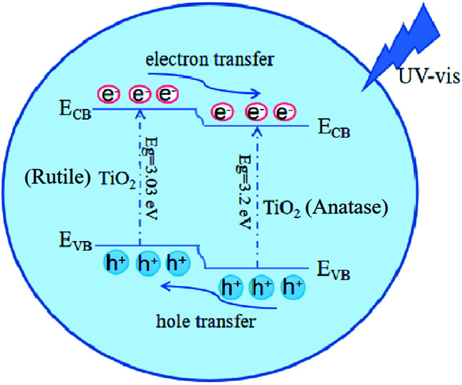 Fig. 10