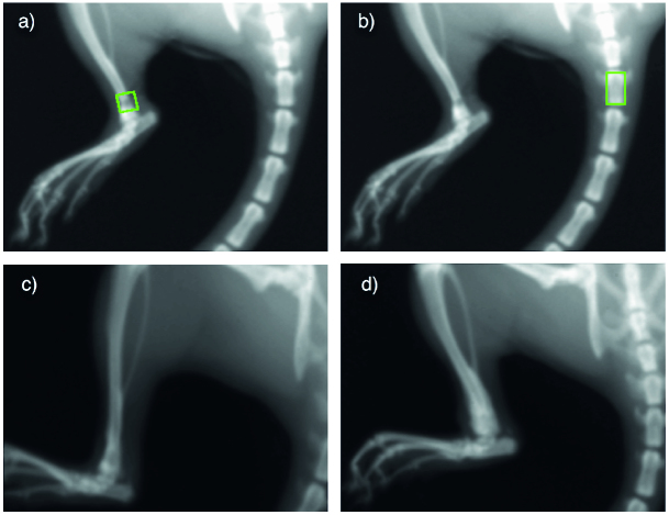 Figure 3.