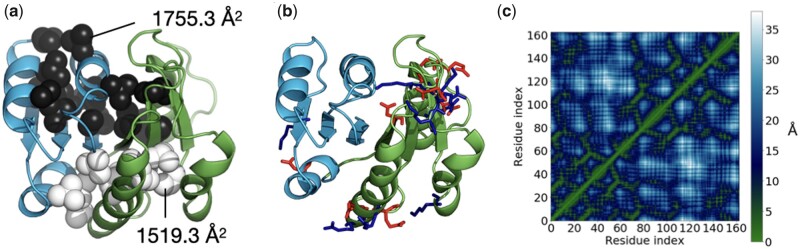 Fig. 5.