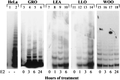 FIG. 6