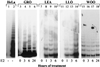 FIG. 6