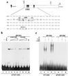 FIG. 1