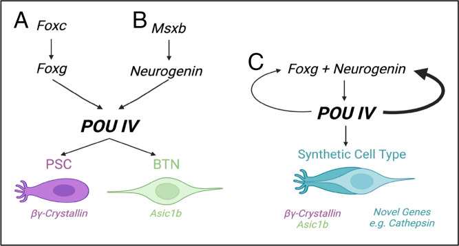 Fig. 5.