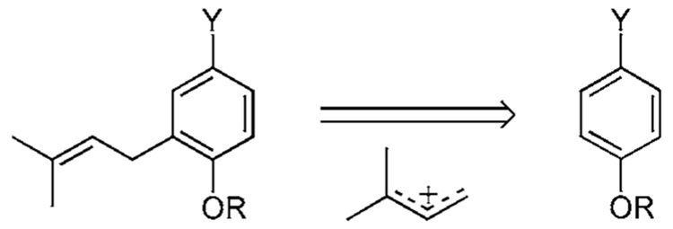 Scheme 5