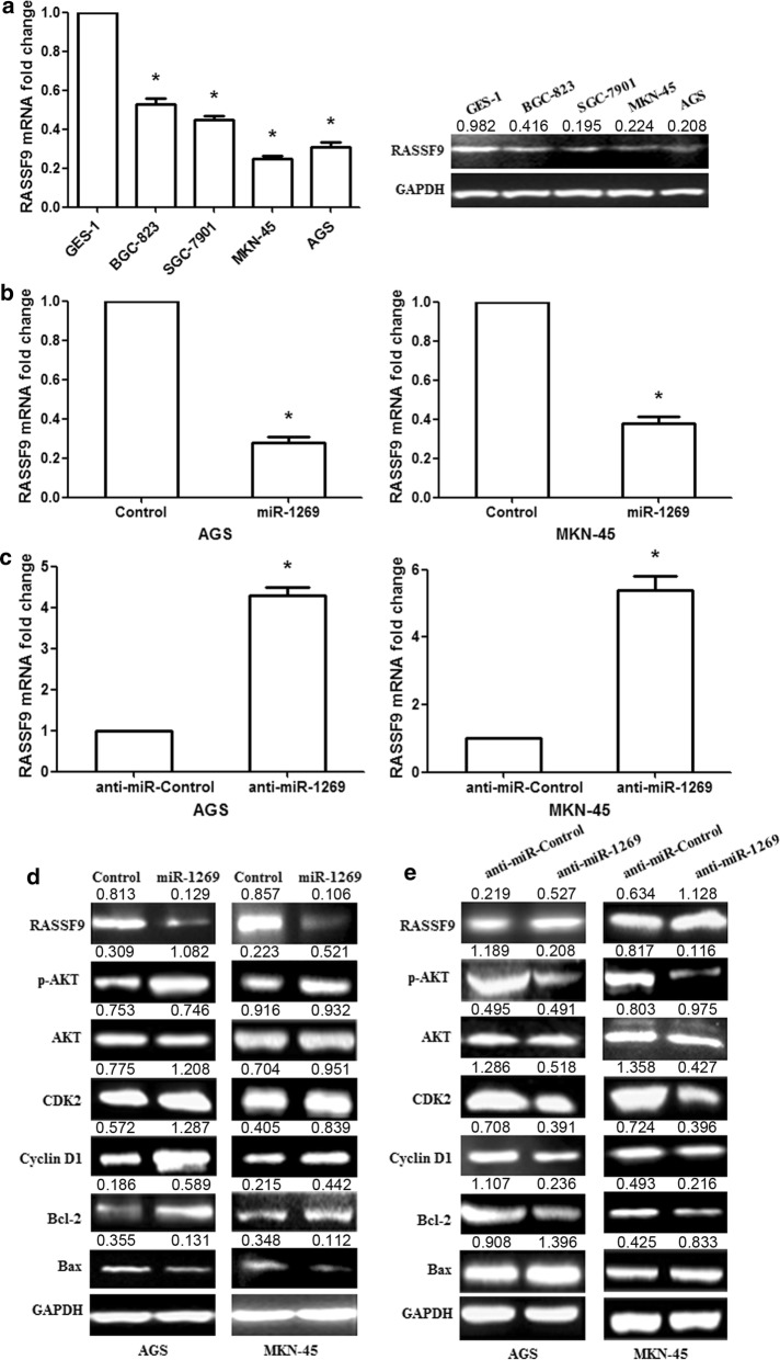 Fig. 4