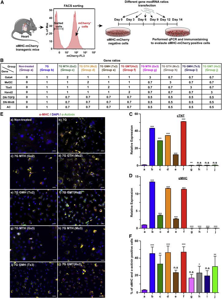 Figure 2