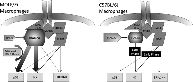 Figure 9.