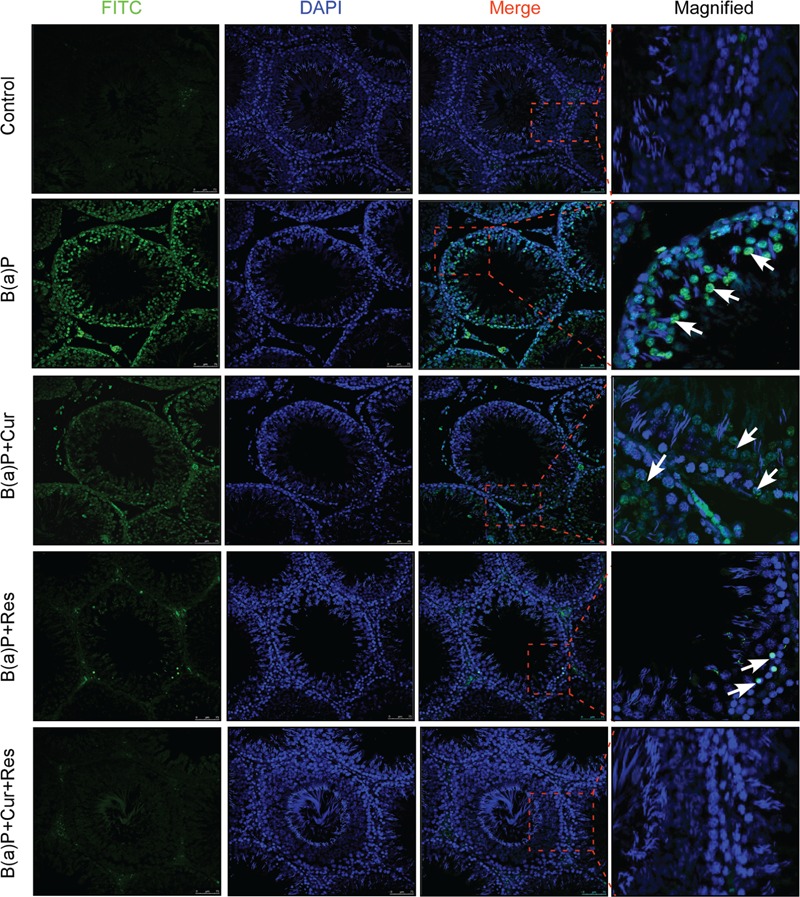 FIGURE 3