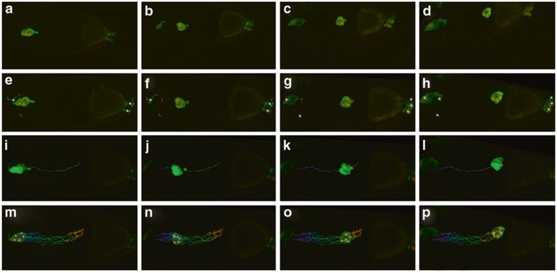 Fig. 6