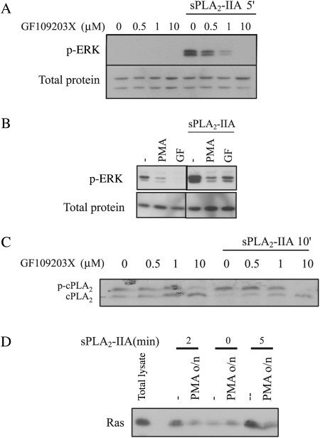 Fig. 2.