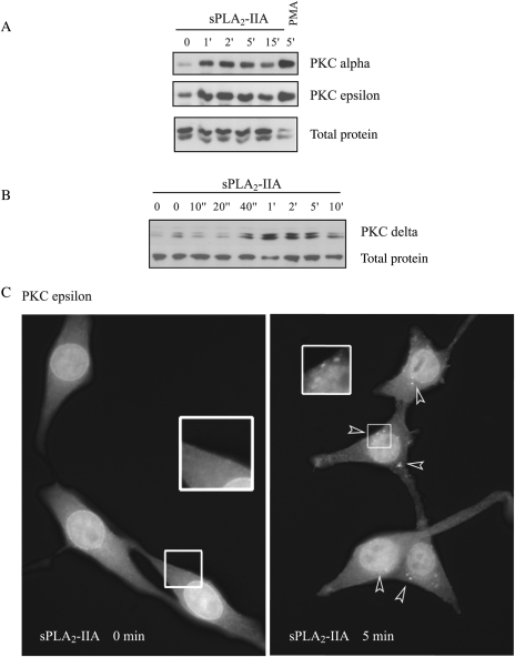 Fig. 3.