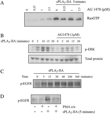 Fig. 4.