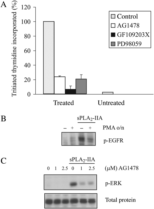 Fig. 5.