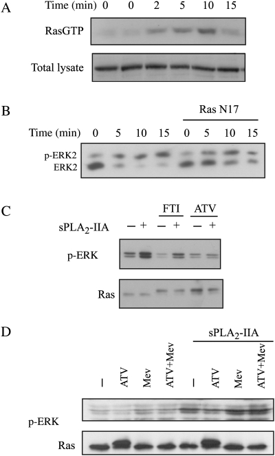 Fig. 1.