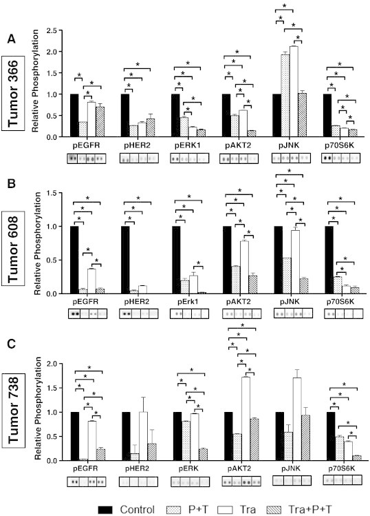 Figure 5