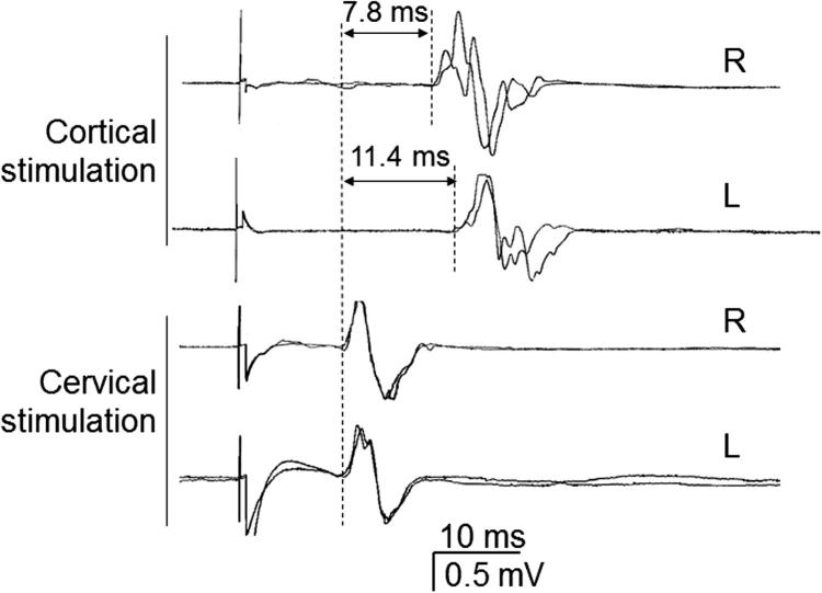 Fig. 3