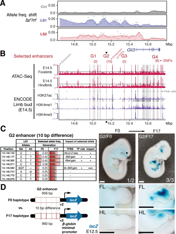 Figure 4—figure supplement 1.