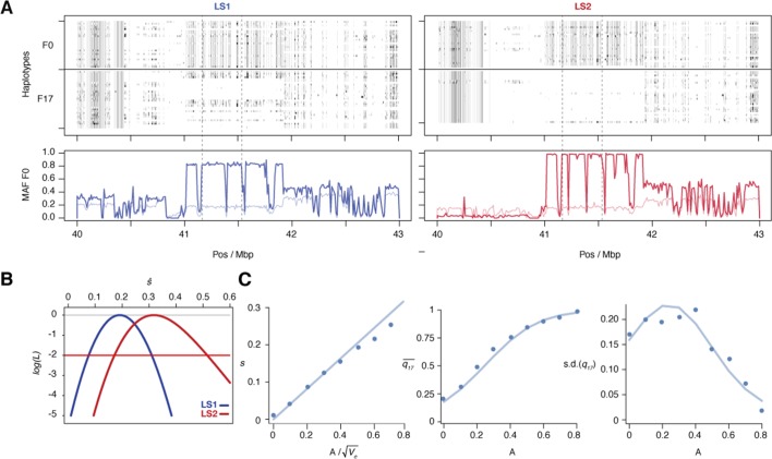 Figure 5—figure supplement 1.