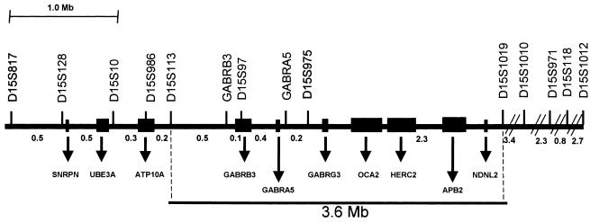 Figure  3