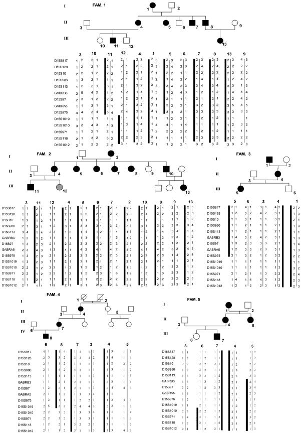 Figure  1