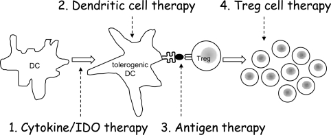 Figure 5