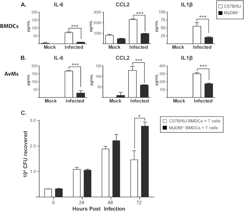 FIG 6