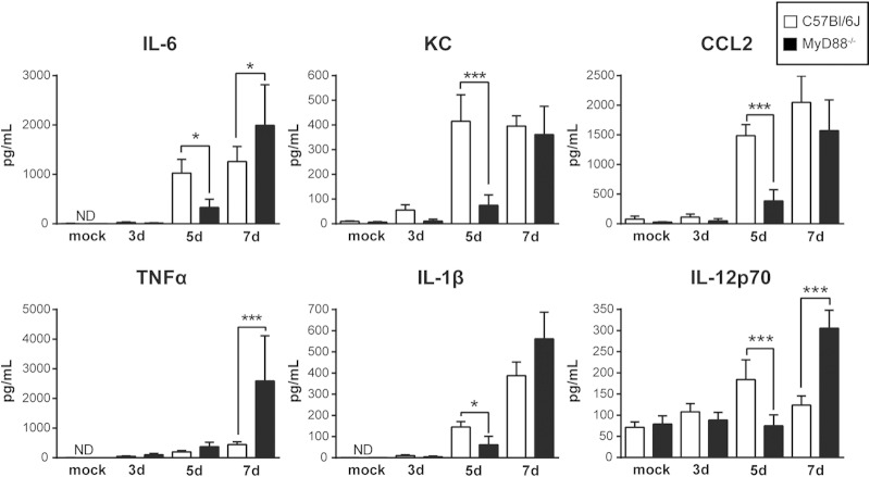 FIG 2