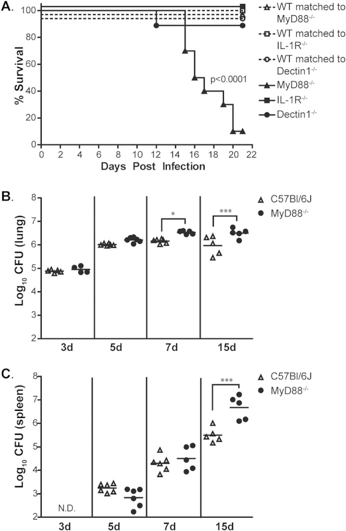 FIG 1