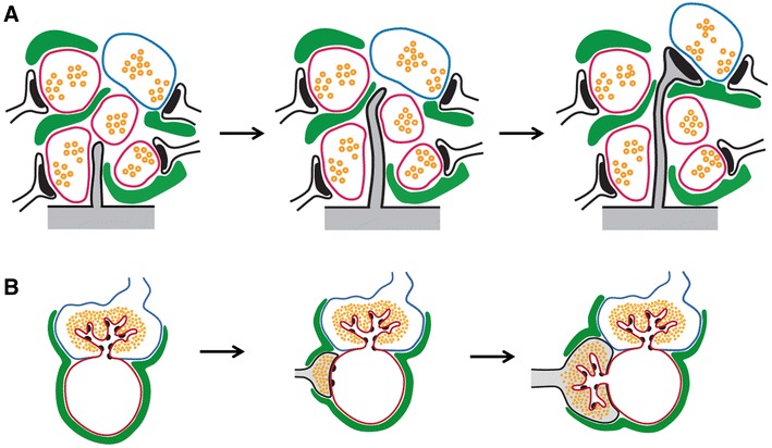 Fig. 6