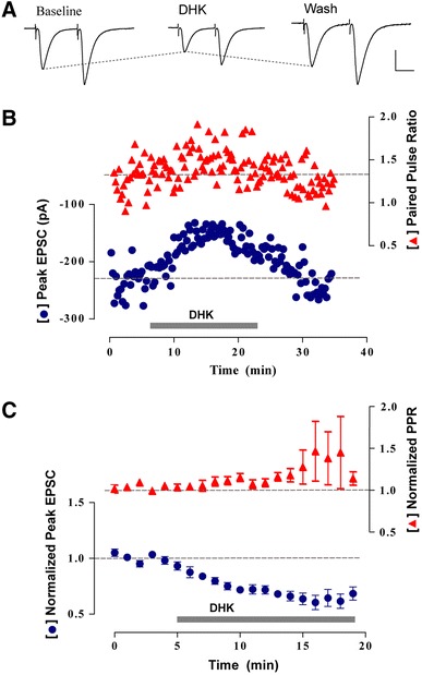 Fig. 4