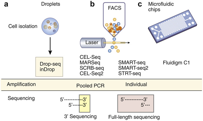 Figure 1: