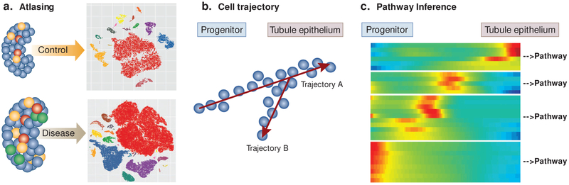 Figure 3: