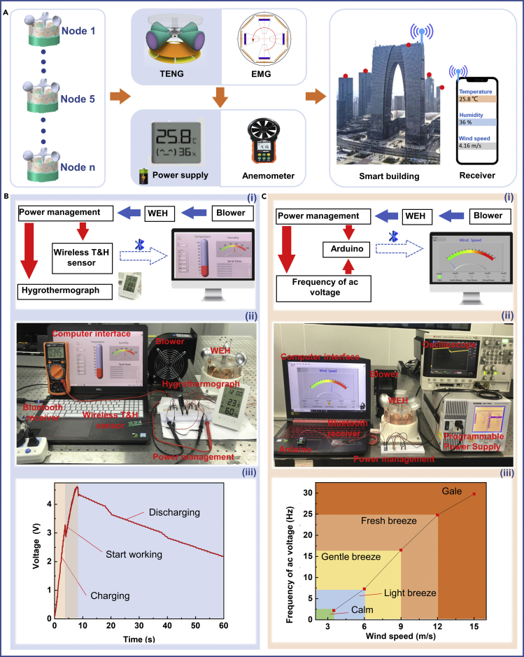 Figure 6