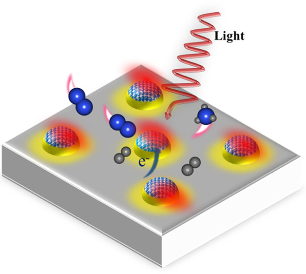 graphic file with name cs2c00509_0009.jpg