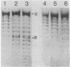 1864