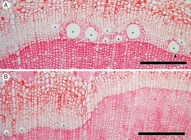 Fig. 6.