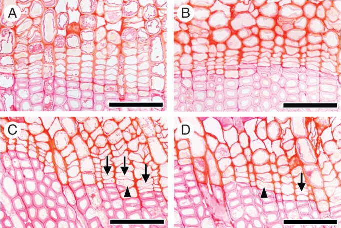 Fig. 3.