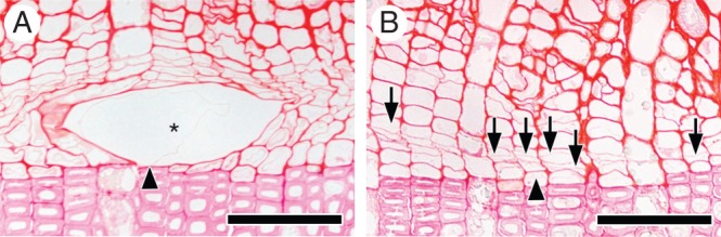 Fig. 5.