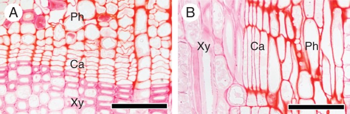 Fig. 2.