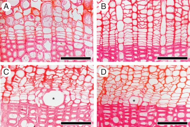 Fig. 4.